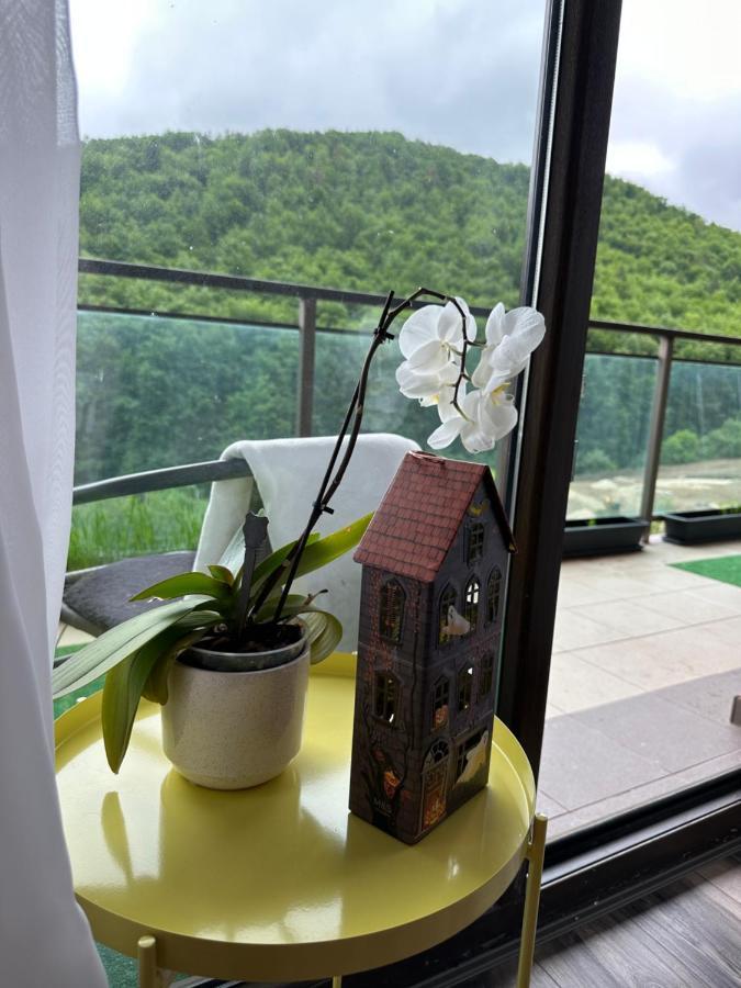Silvelen Mountain View Apartment Braşov Exterior foto